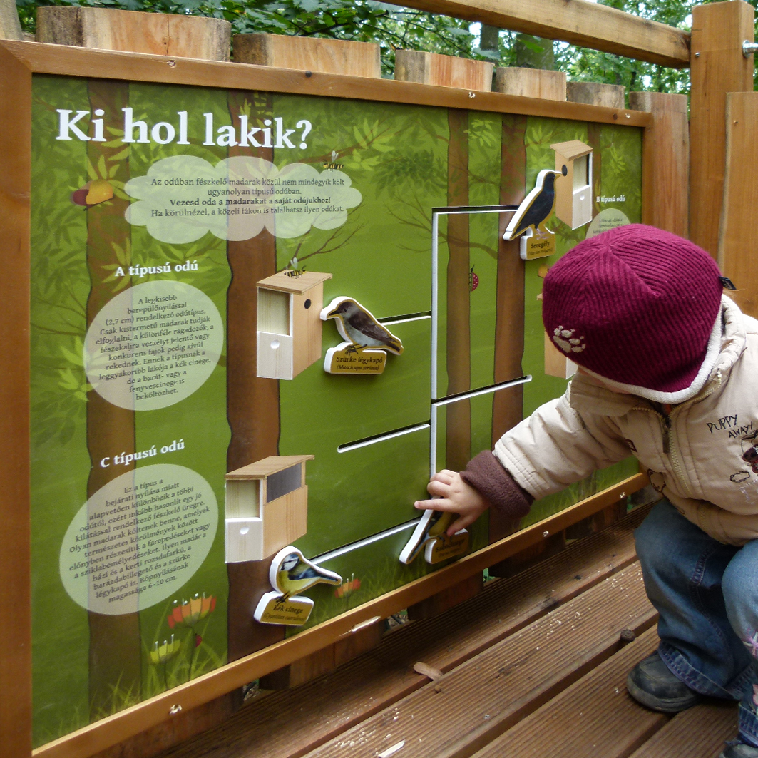 Melyik madár melyik odúban lakik?