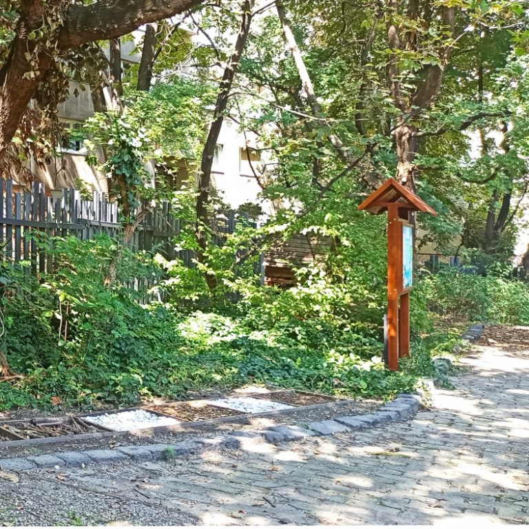 A tanösvény egy részlete - 02