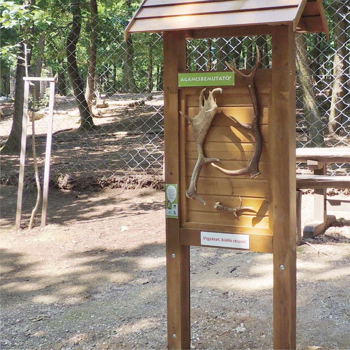 Az agancsbemutató táblán valódi agancsokat láthatunk-tapinthatunk, a tábla másik oldalán pedig muflonszarvat ismerhet