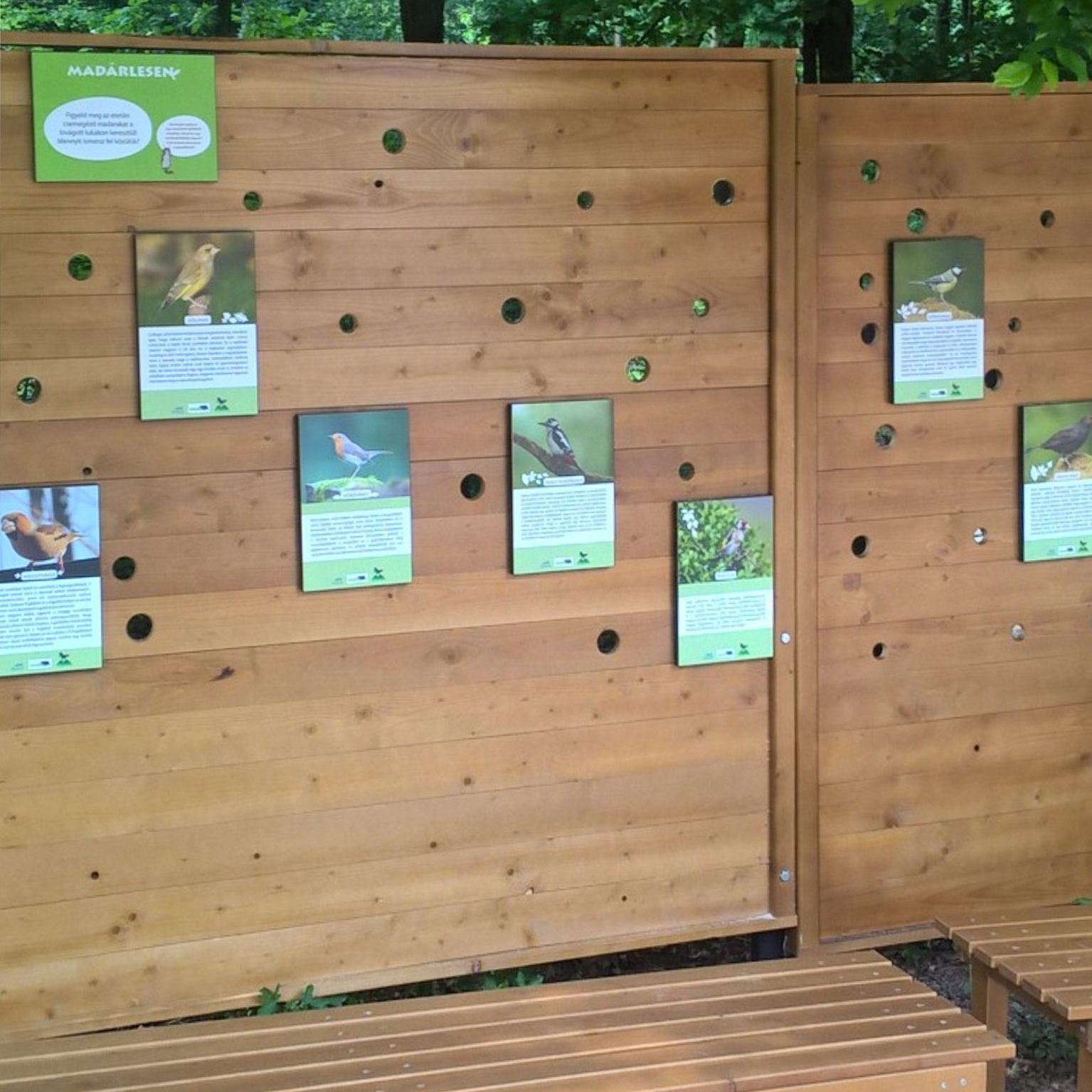 A lyukakon át megfigyelhetjük a kihelyezett etetőkre és itatókra járó madarakat. A paravánra szerelt táblácskák se