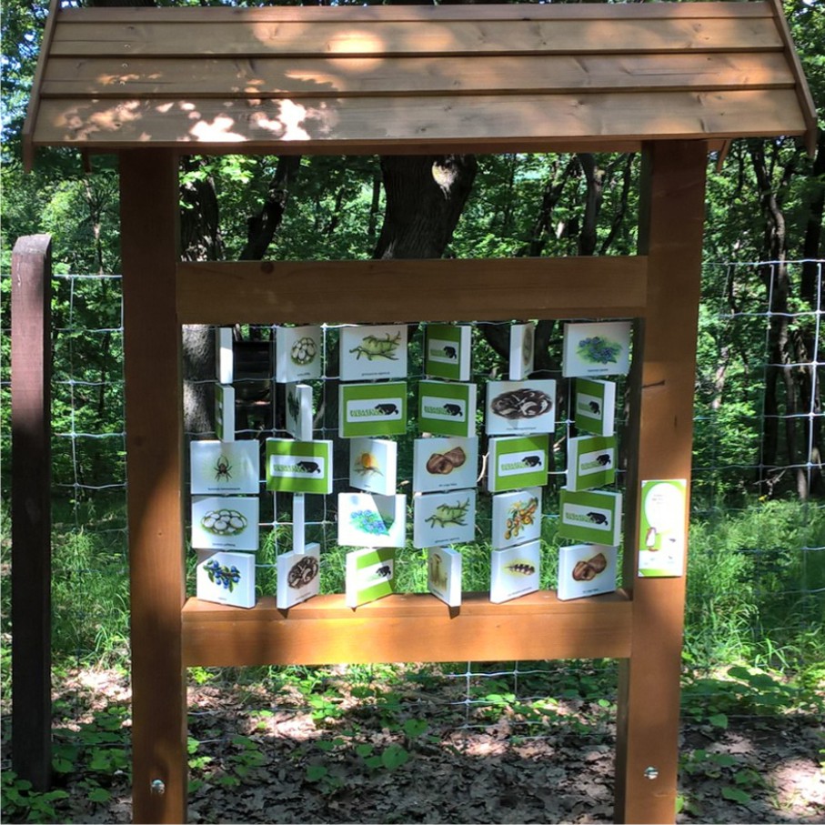 A memória tábla kedves rajzaiból megtudhatjuk, milyen kincseket rejt az erdő. Ha jól figyelünk, láthatunk elhullajtott