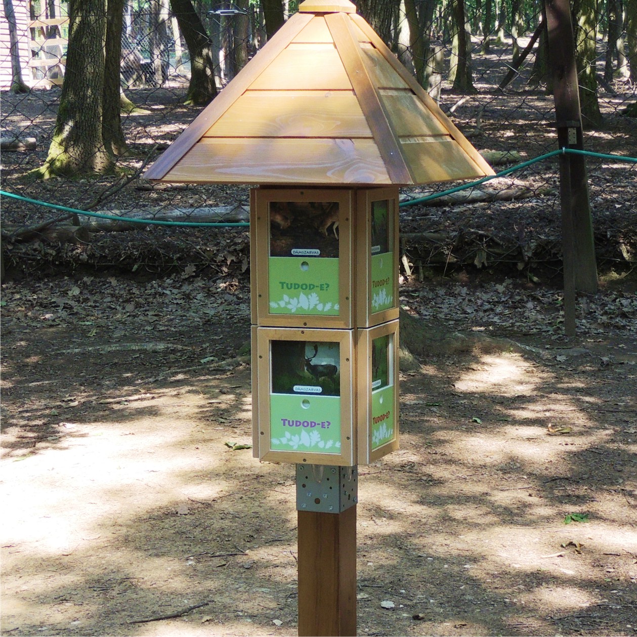 Tudtad? - Az oszlopon érdekességeket olvashatunk a szarvasokról.