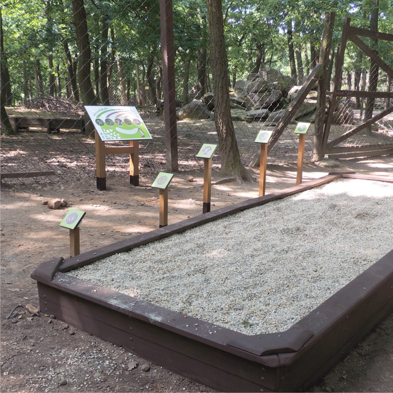 Mekkorát ugrik egy hiúz? Az ugrópályán kipróbálhatjuk azt is, hogy mi mekkorát tudunk ugrani.