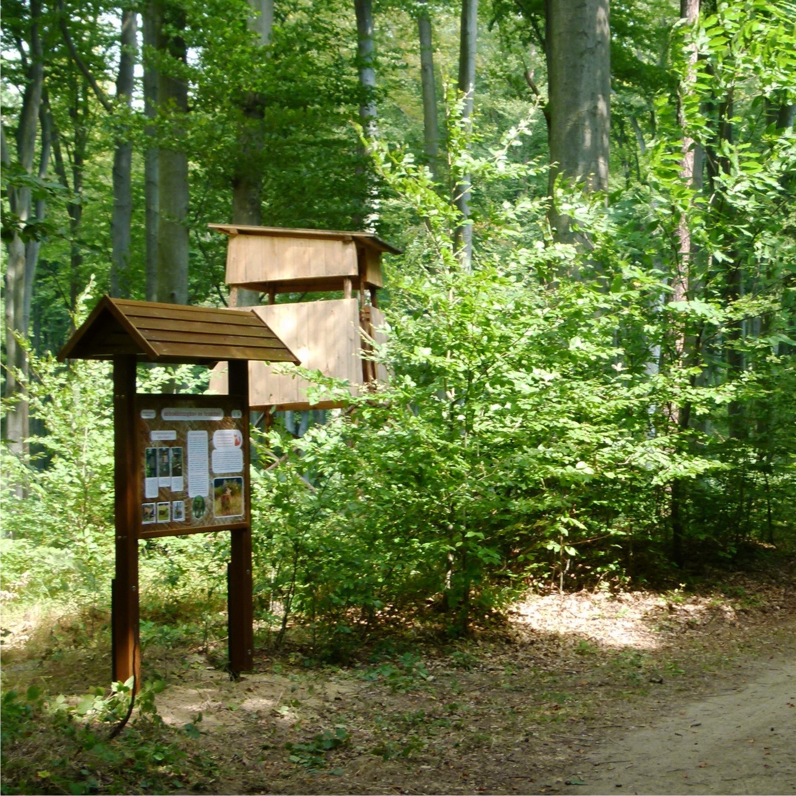Interaktív tanösvénytábla a háttérben vadlessel.