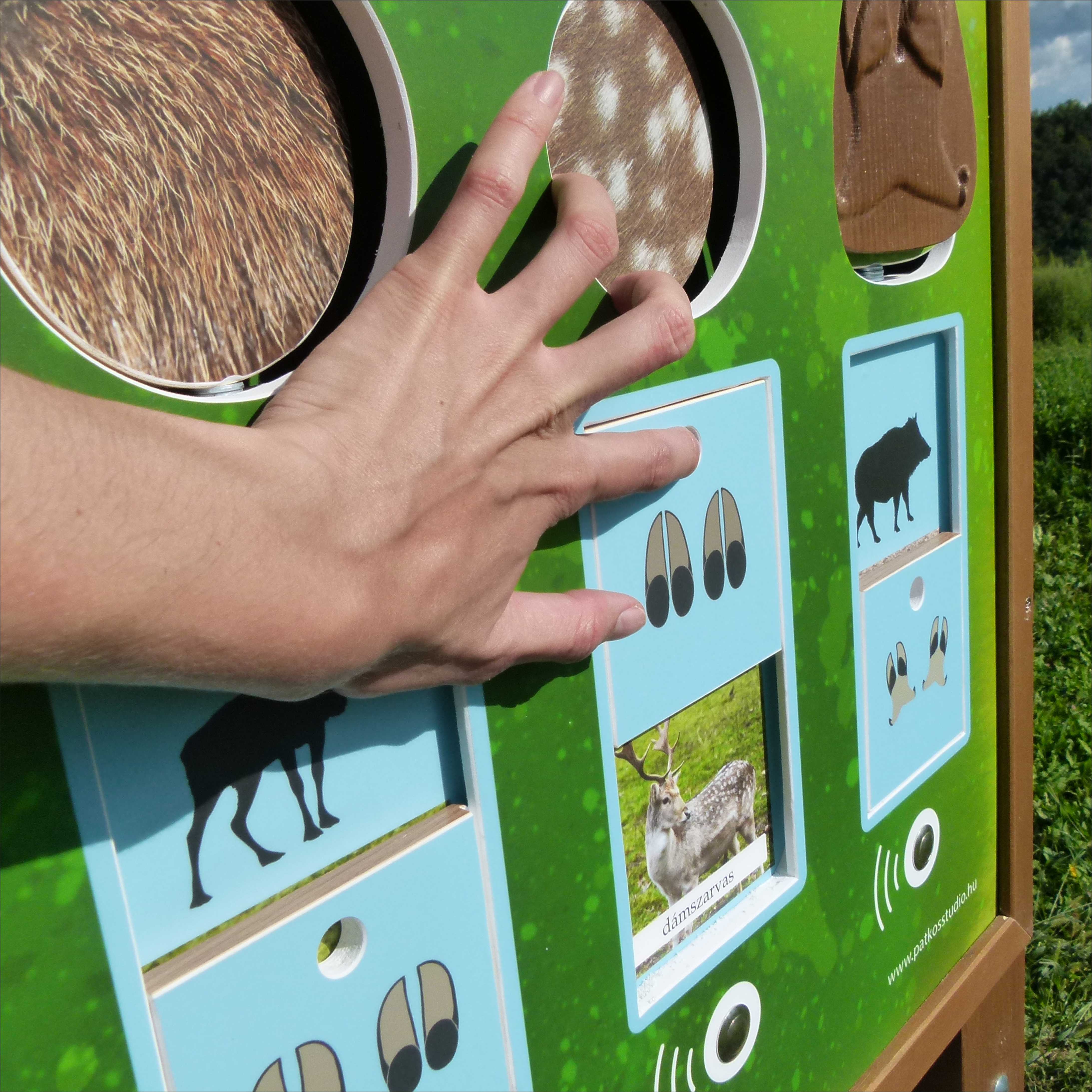 Felismered a hangja vagy a bundája alapján?