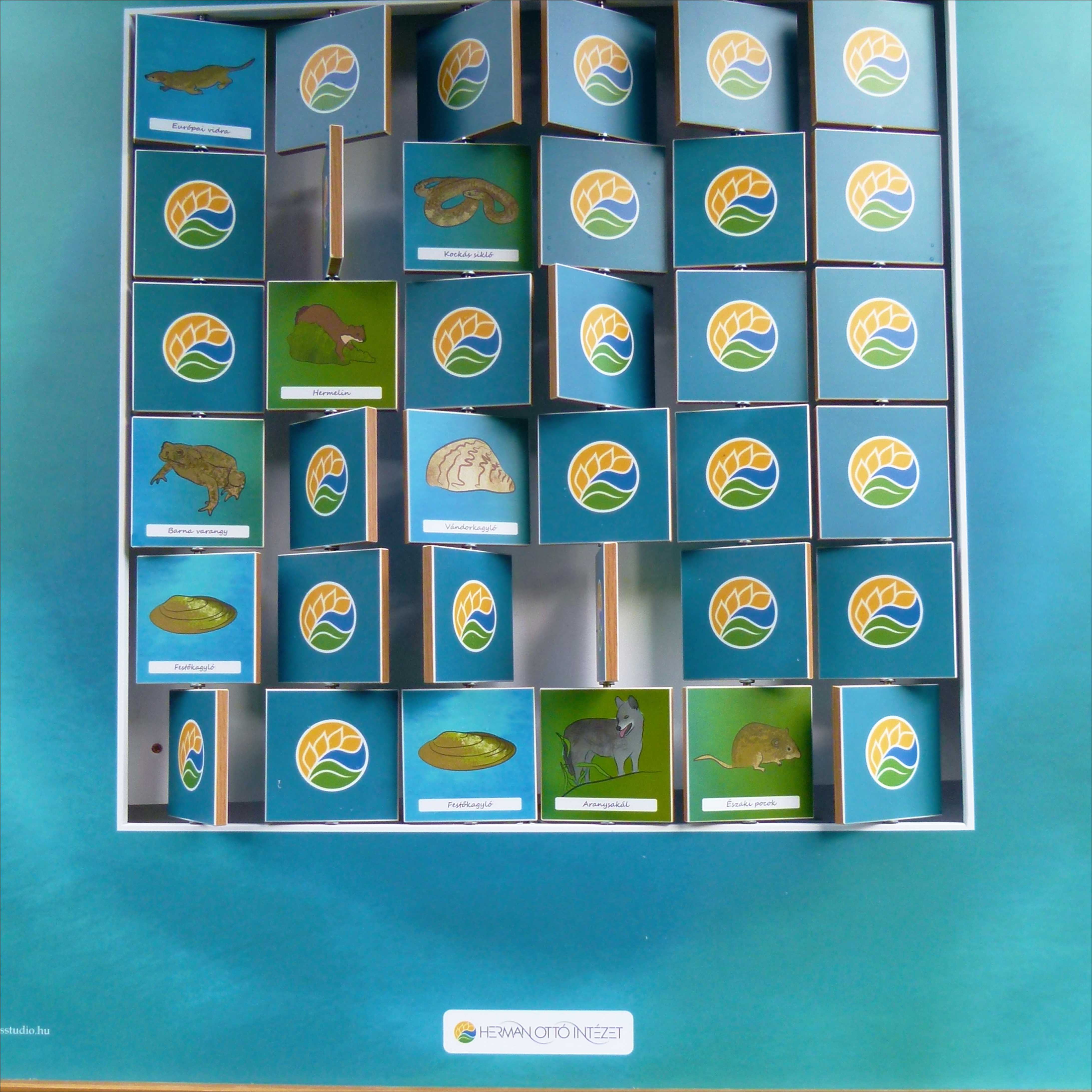 Memória a Kis-Balaton állataival