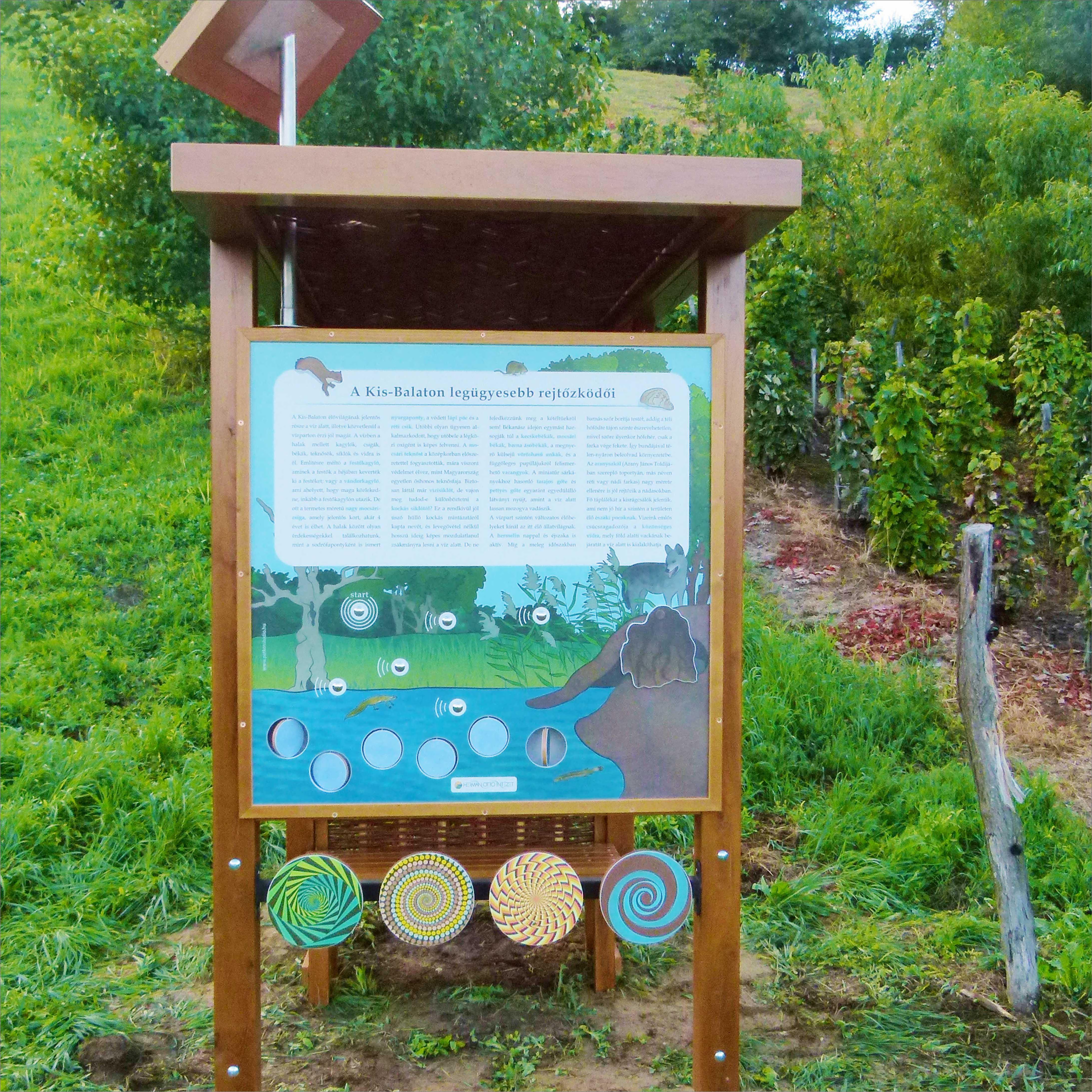 A vízi élővilág hangokkal, kiforgatható elemekkel és játékos csigaforgatóval a tábla alatt