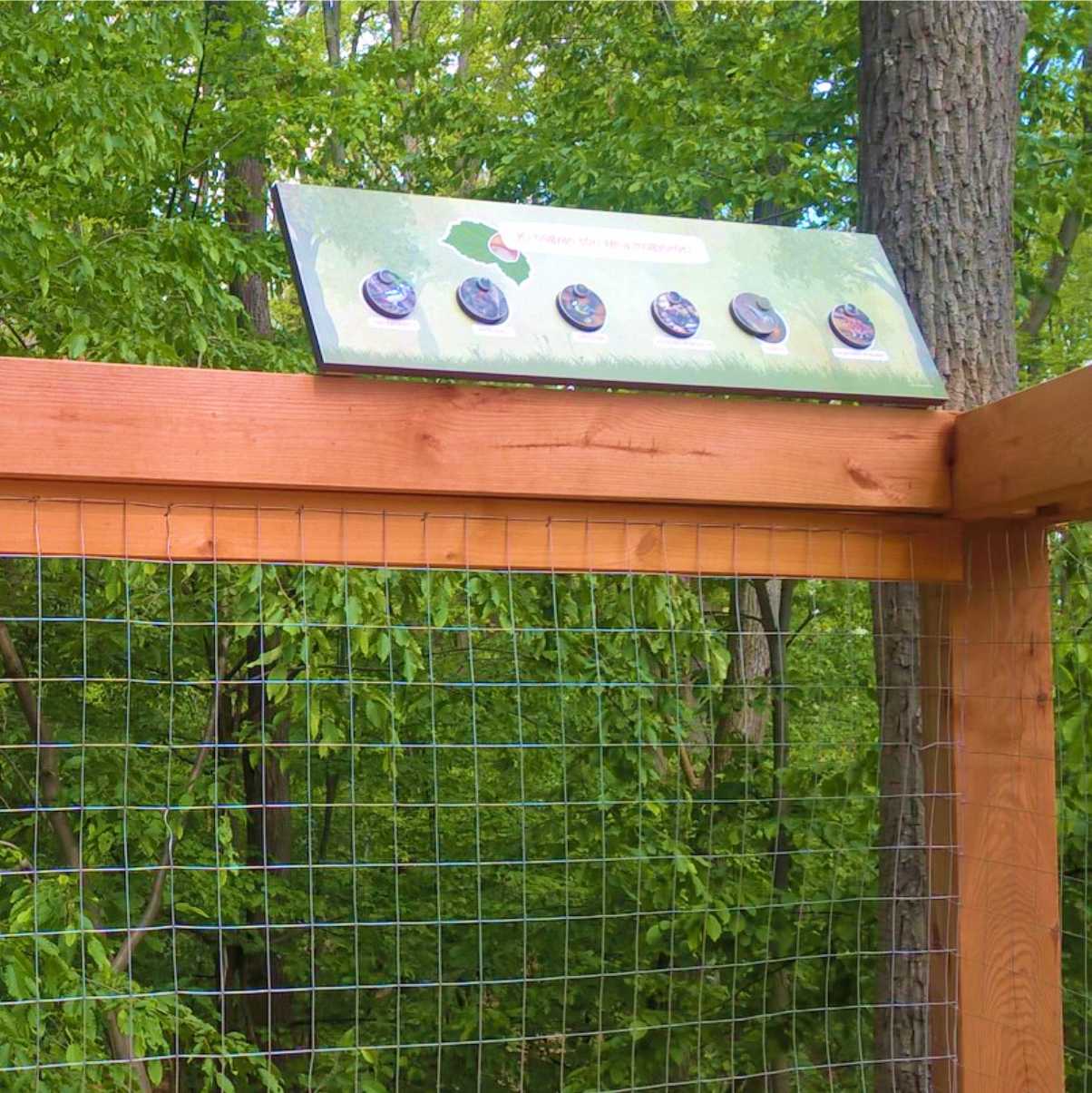 Melyik állat hogyan töri fel a mogyorót?