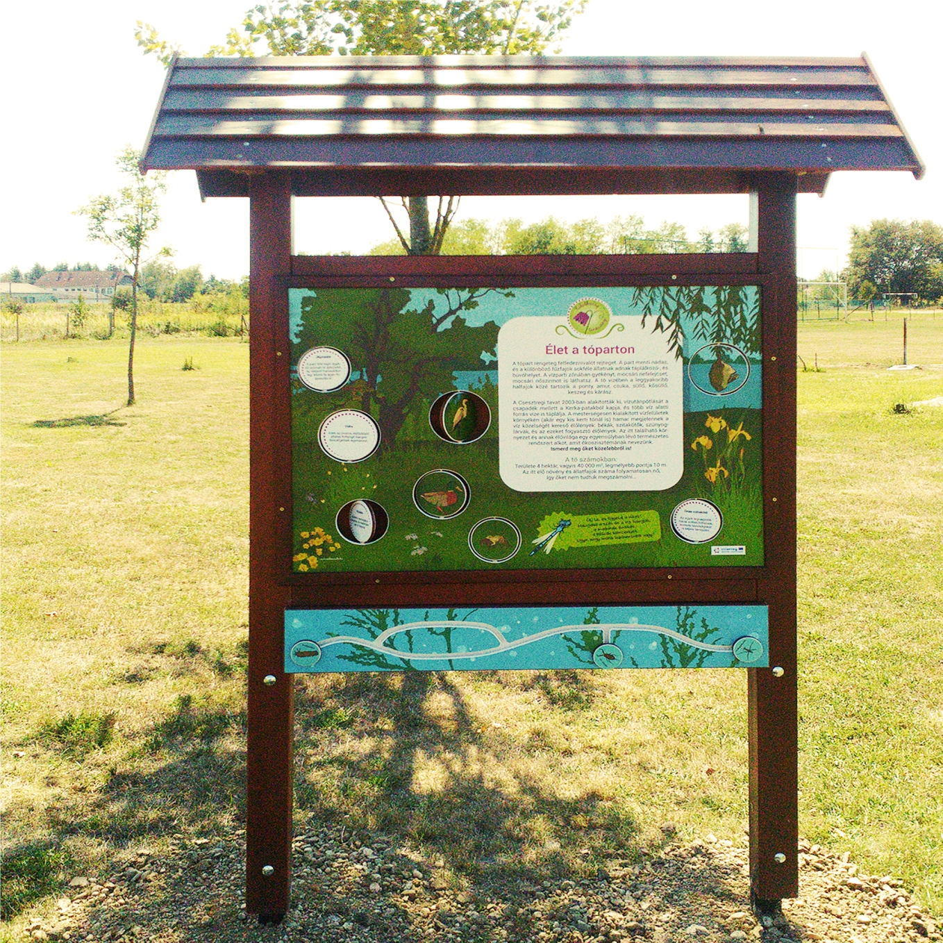 Interaktív tanösvénytábla a tópart élővilágáról