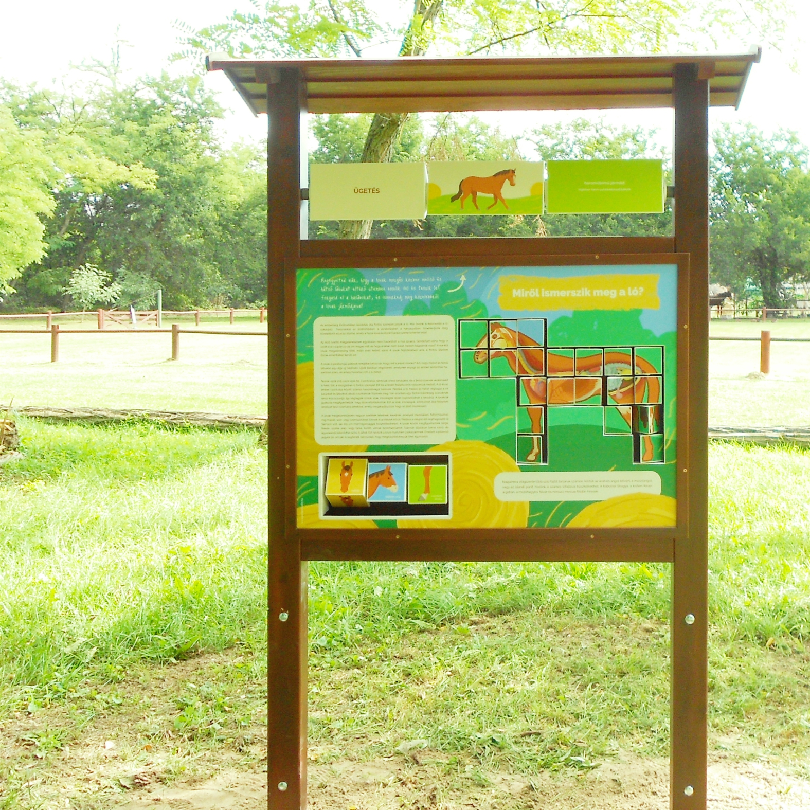 Interaktív tanösvénytábla a ló felépítéséről