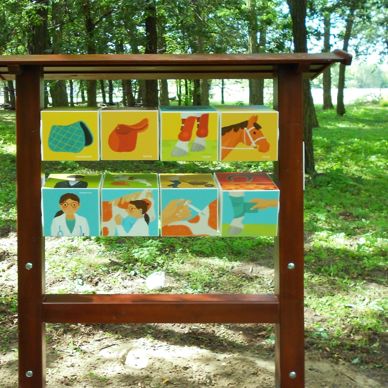 Dupla panorámaforgató