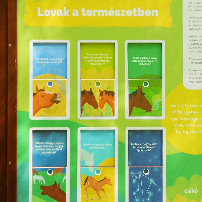 Interaktív, felhúzható elemek a tanösvénytáblán