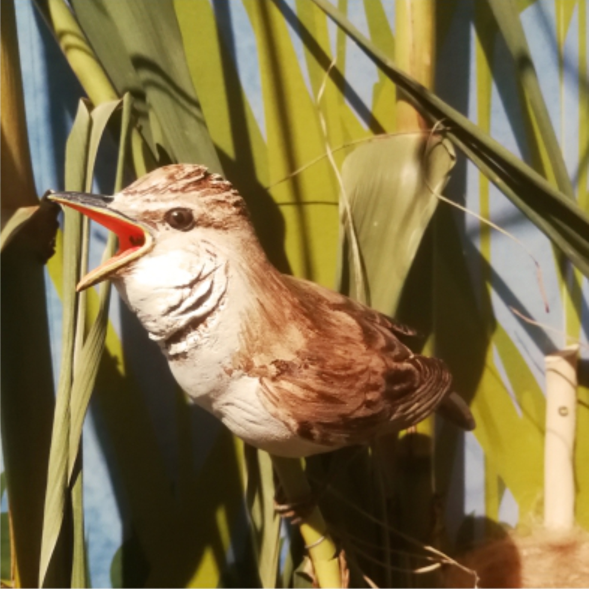 A nádasban megbújó madárszobor