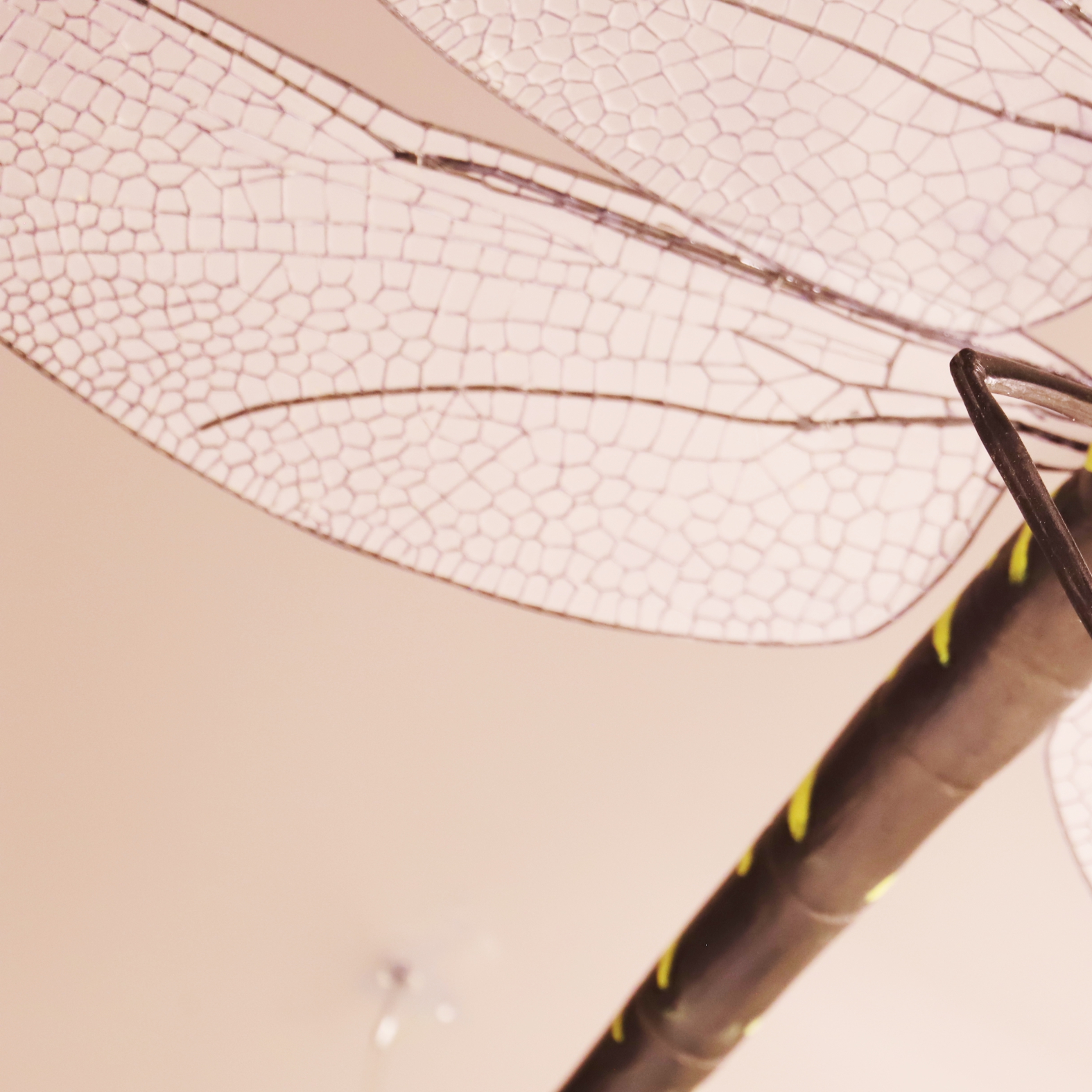 Szitakötő szobor - 1