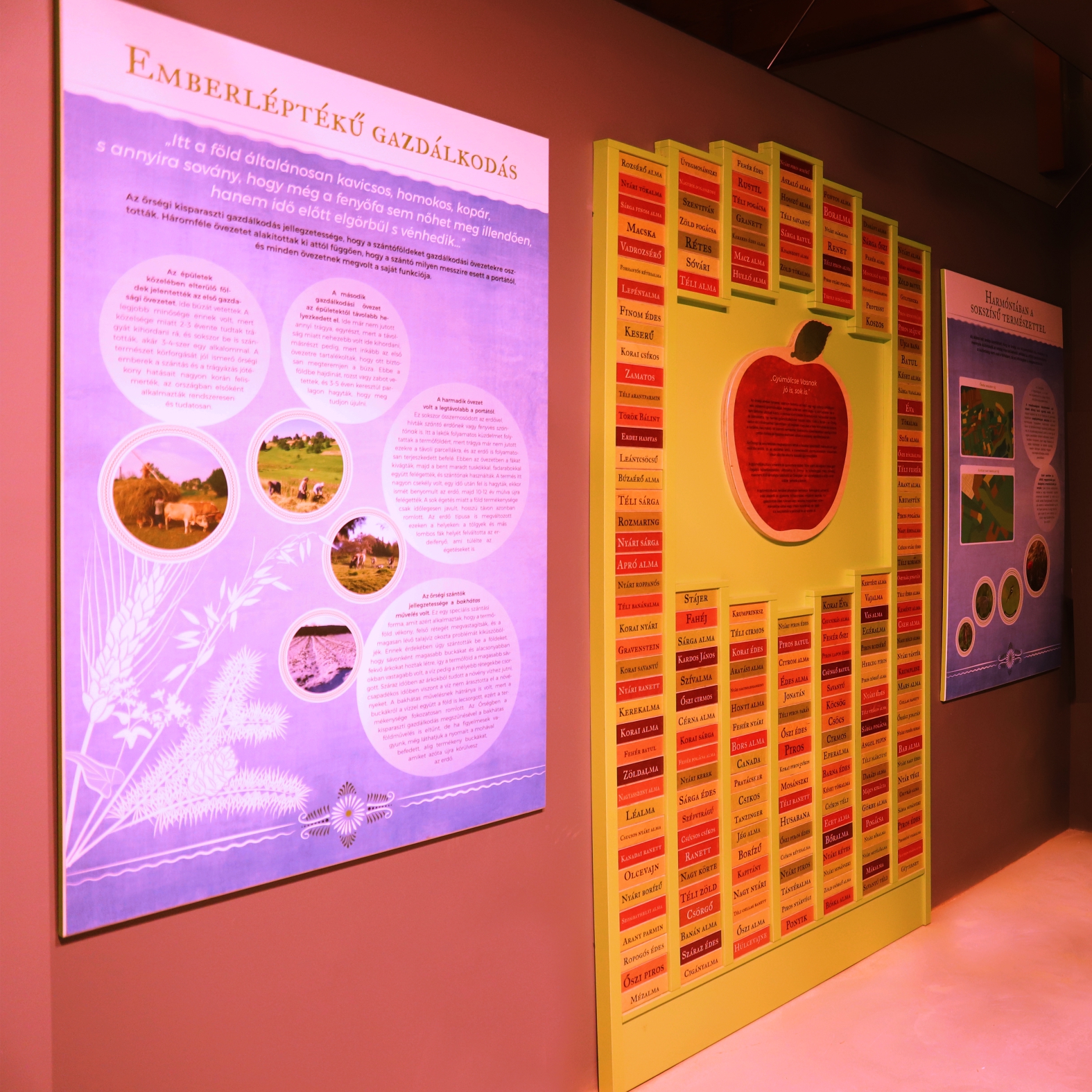 Az őrségi almafajok: 213 színes léc, mindegyiken egy-egy őshonos őrségi alma neve