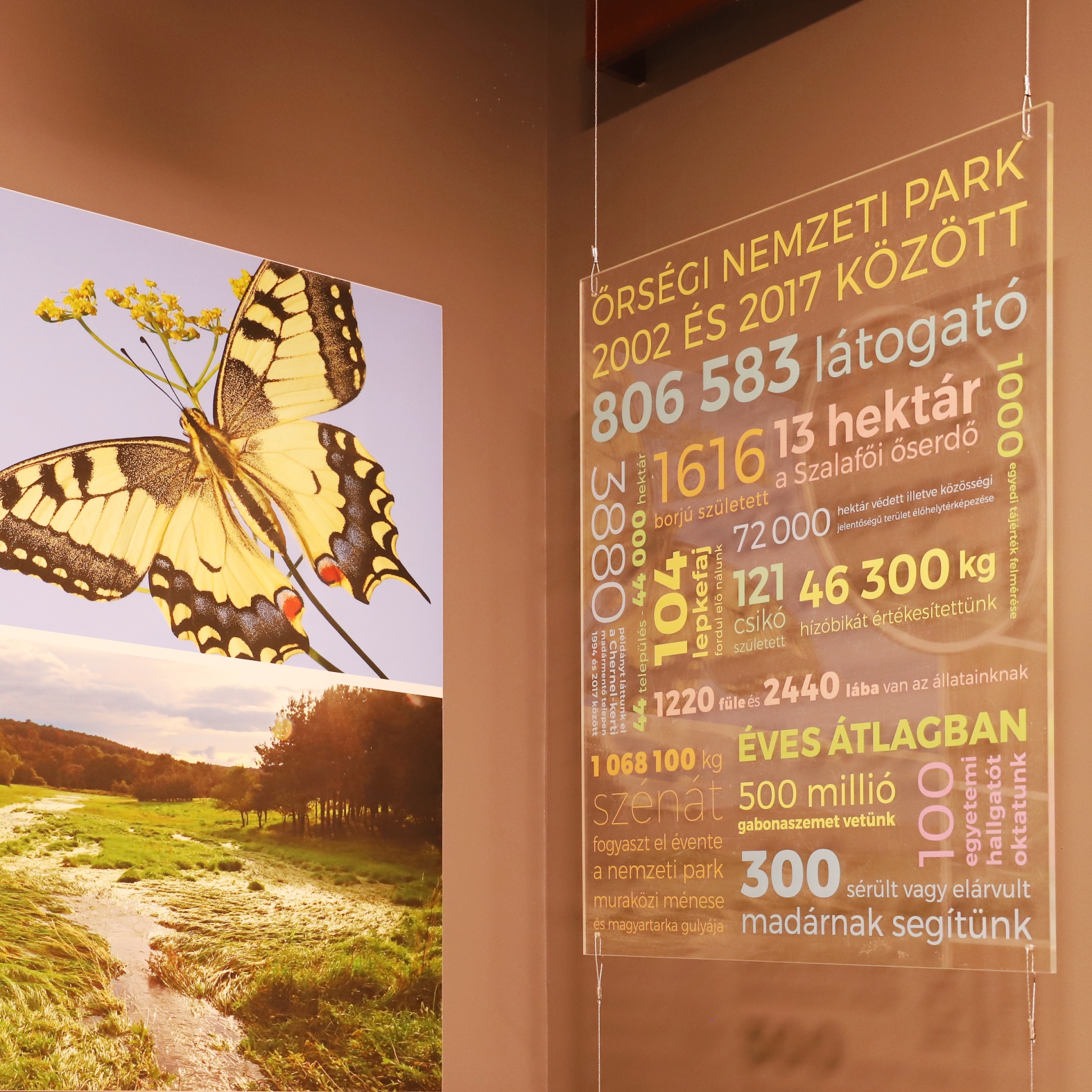 Érdekességek a nemzeti parkról - szófelhő