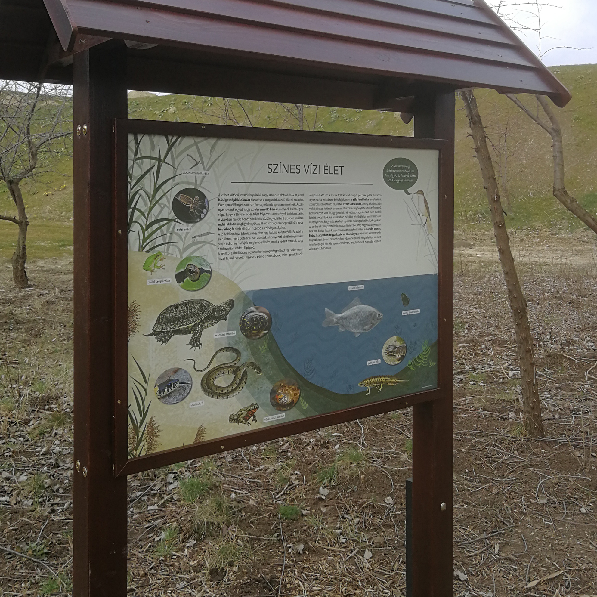 A vizek élővilágát bemutató tábla