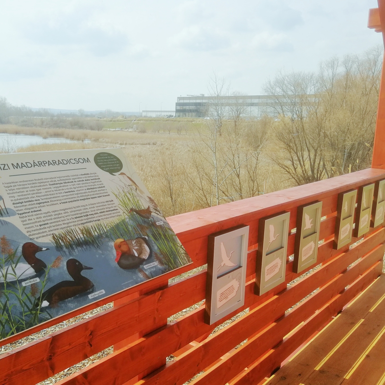 A tanösvényhez egy kilátó is tartozik