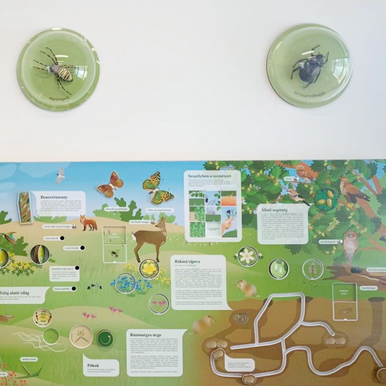 Részlet a kiállításból - interaktív fal - 2
