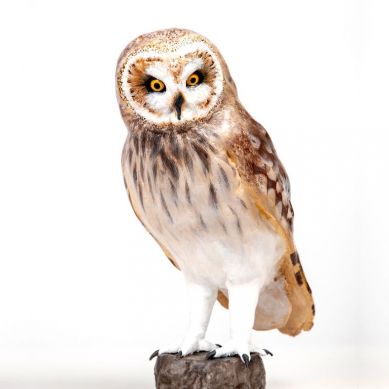 Macskabagoly 3D szobor