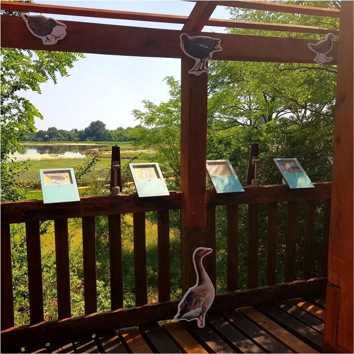 Az egyik kilátón a környék madarait ismerhetjük meg