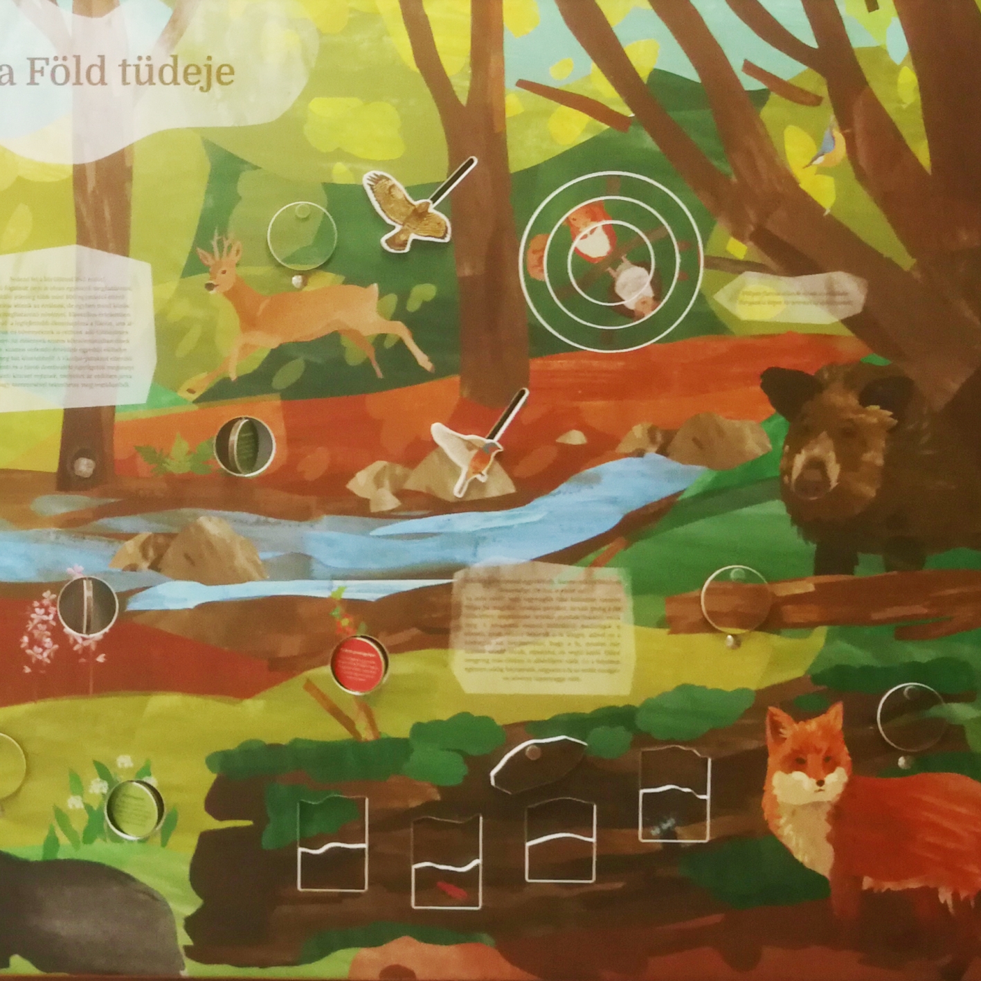 Az interaktív kiállítás részlete: az erdő sűrűjében - 2