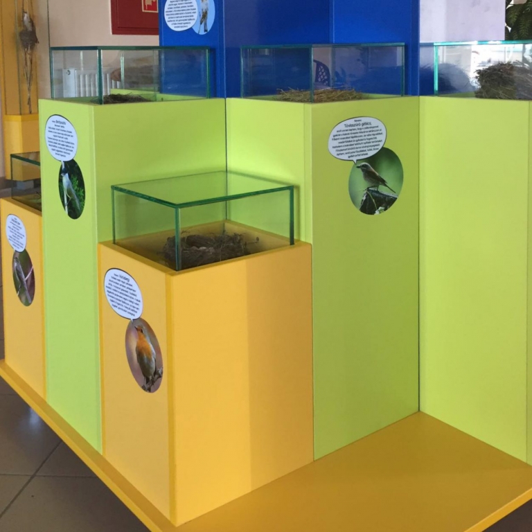 Installation for the bird nests - Installazione per i nesti