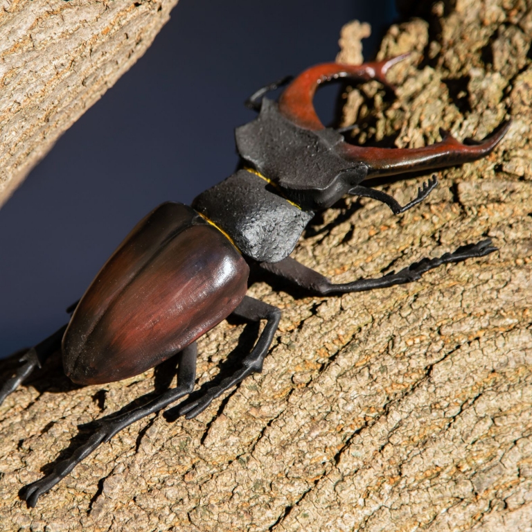 Embed 3D model - Modello 3D