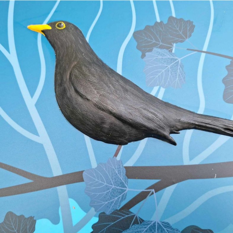 3D fekete rigó a tanösvénytáblán