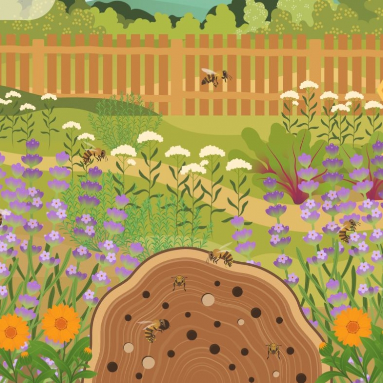 Detail from the graphics – Dettaglio della grafica - 1