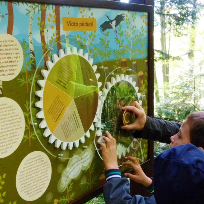 A fogaskerekeket megforgatva az erdő lakóiról tudhatunk meg néhány érdekességet.