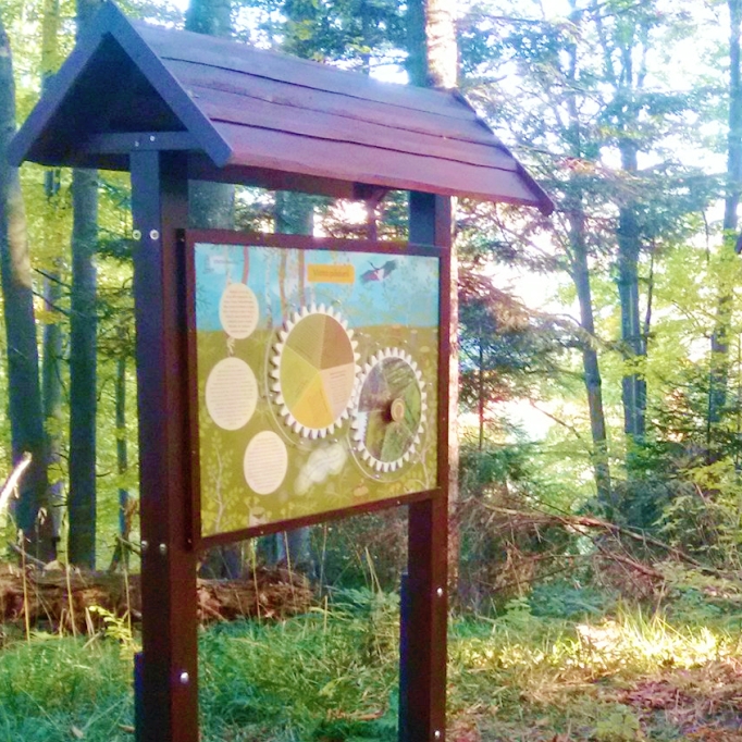 Interaktív tanösvénytábla az erdőben