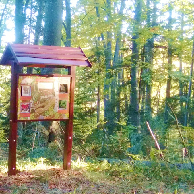 Interaktív tanösvénytábla az erdőben - forgatható koronggal és hasábokkal