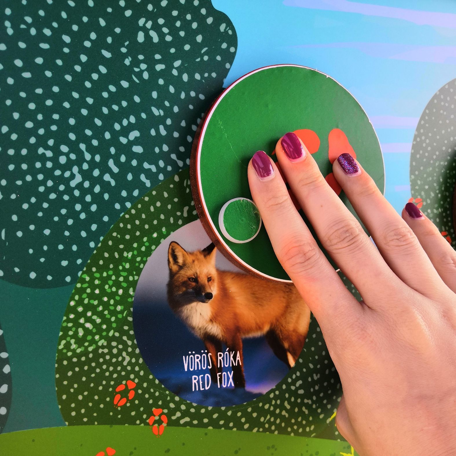 Keresd meg, melyik nyom hová vezet!