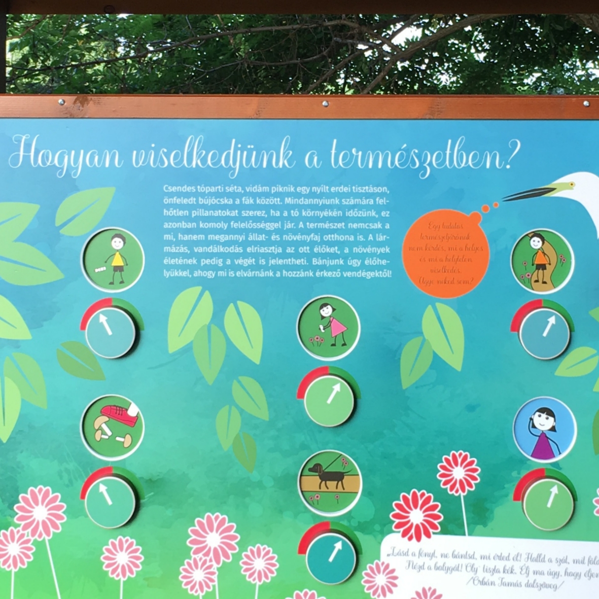 Kirándulj figyelmesen! A természet sok élőlény otthona.