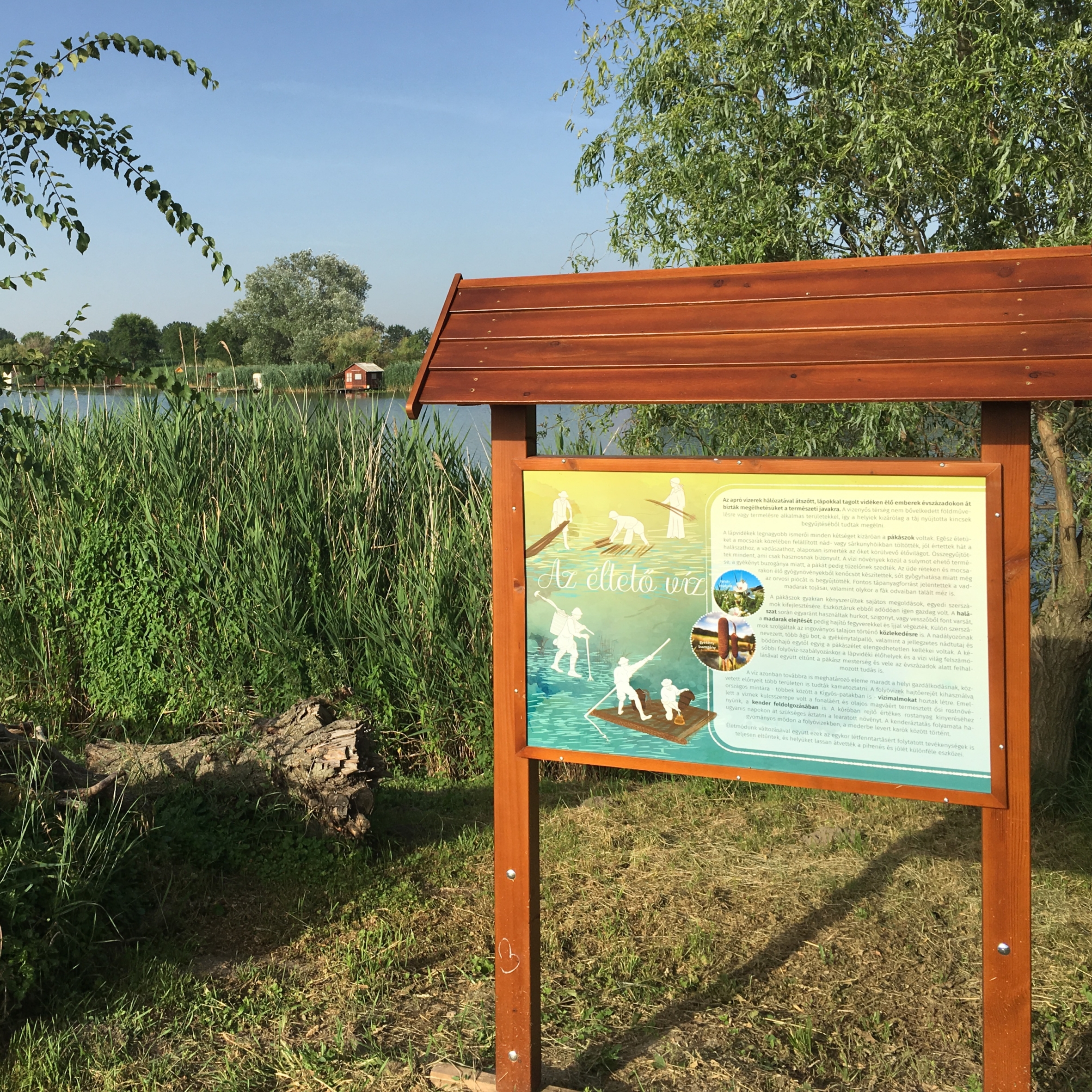 A tanösvény szép természeti környezetben, a víztározó partján kanyarog.