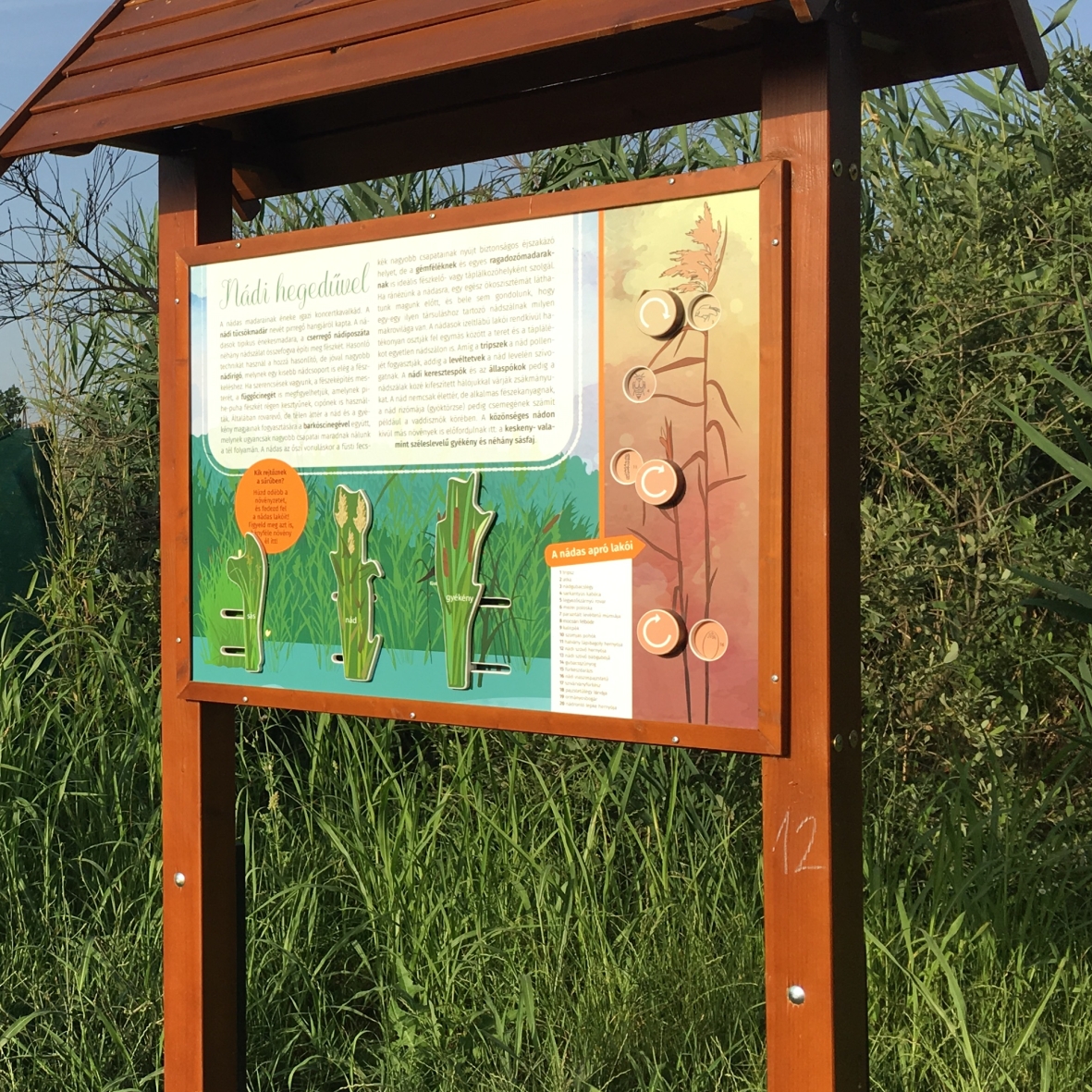 Ismerd meg a nádszál lakóit! Ugye, milyen sokan vannak?