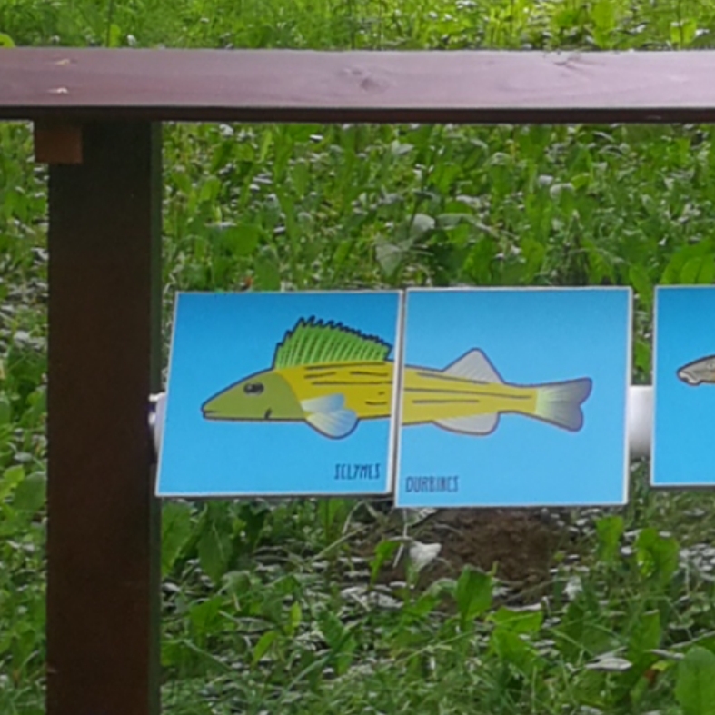 Halforgató - ismerd meg a Mura halait - 1