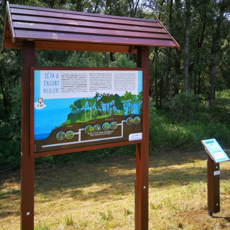 Ismerd meg az ártéri erdőket!