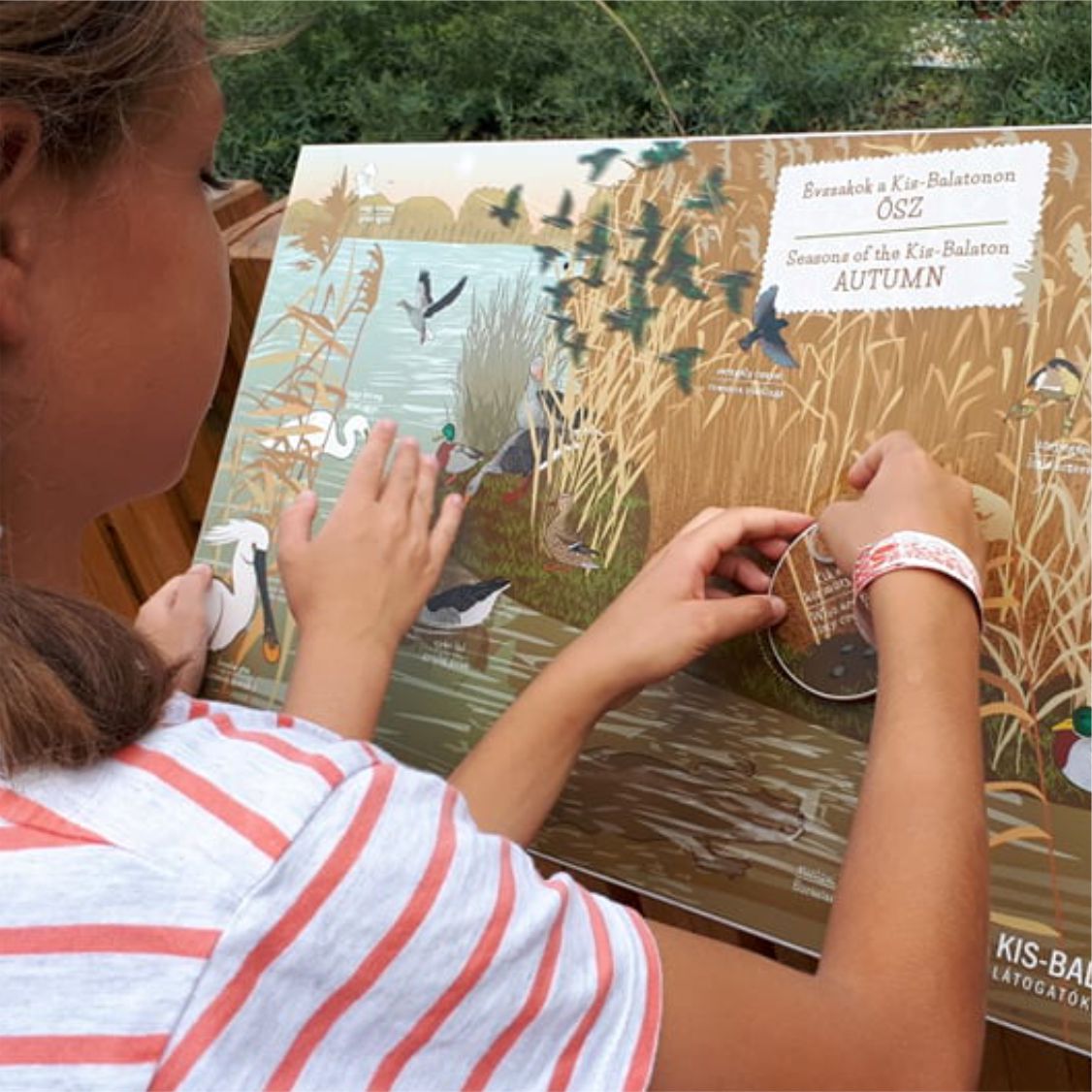 Interaktív tanösvénytábla