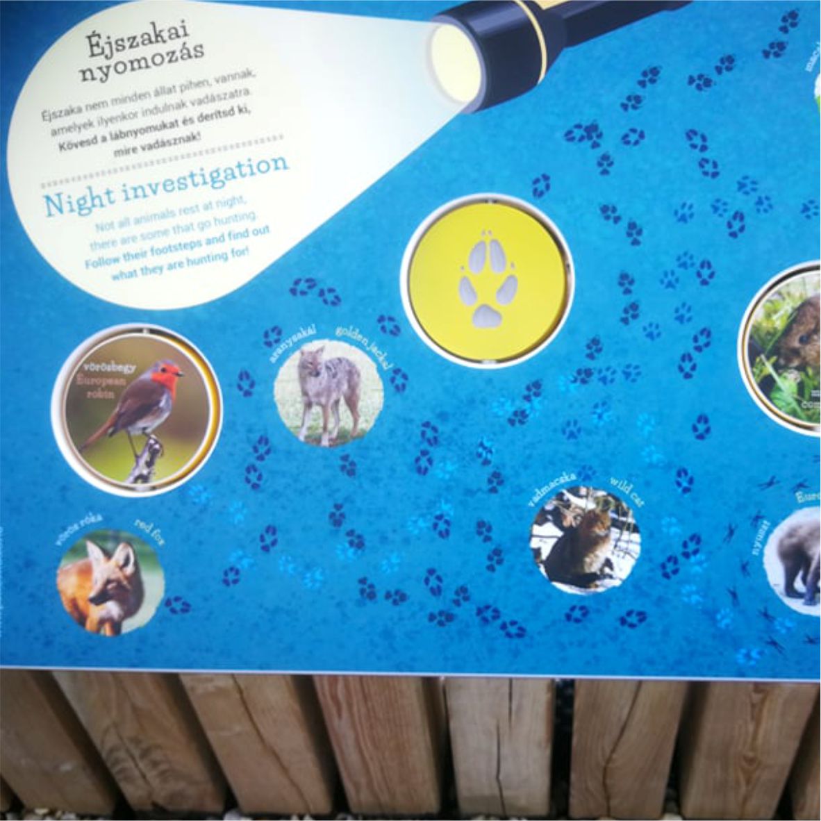 Nyomkeresés és 3D, tapogatható lábnyomok a tanösvénytáblán