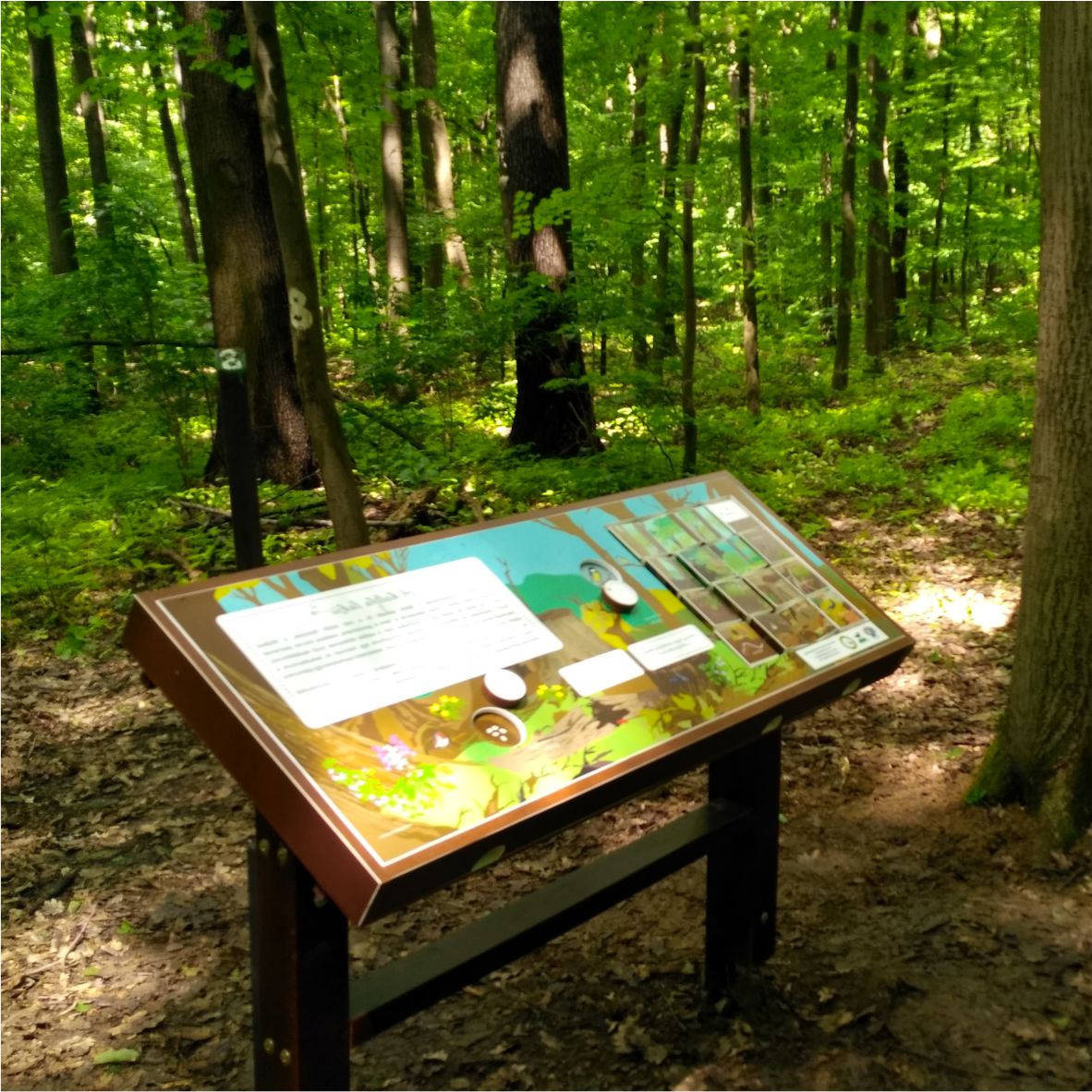 Interaktív tanösvény tábla forgatható kockákkal