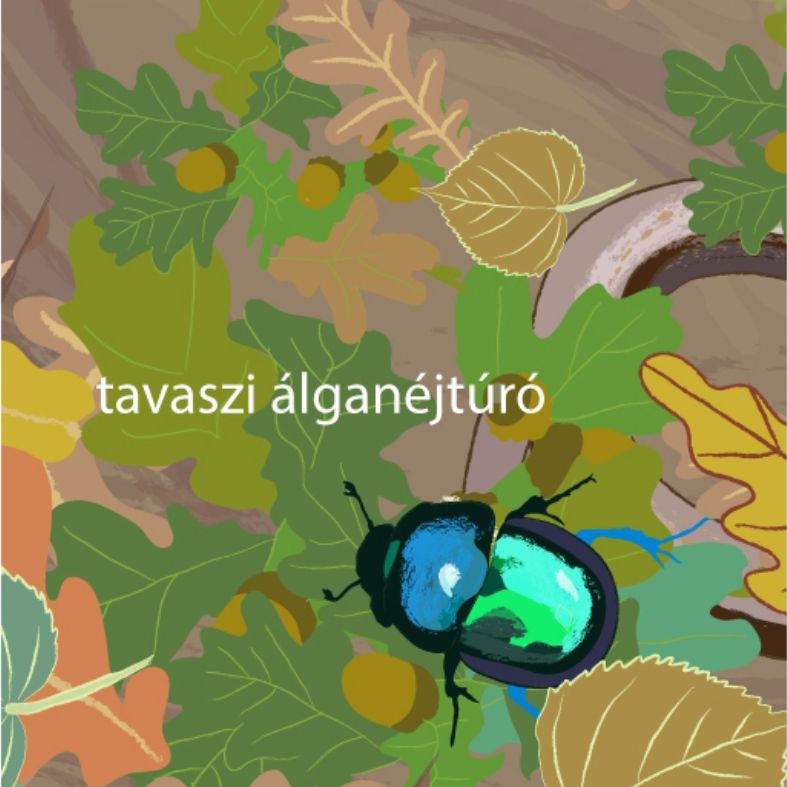 Kik élnek a holtfán? - 2