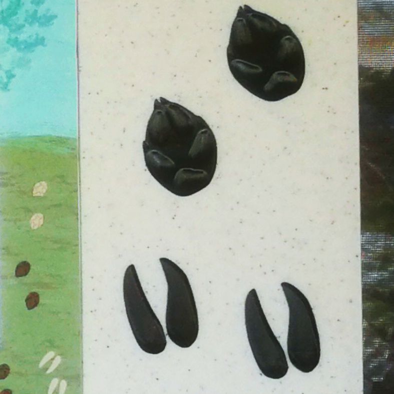 3D lábnyomok a tanösvénytáblába építve