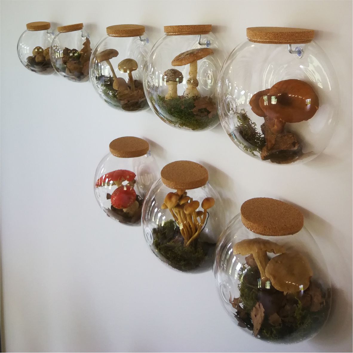 A környék gombáit szárítva is megismerhetik a látogatók