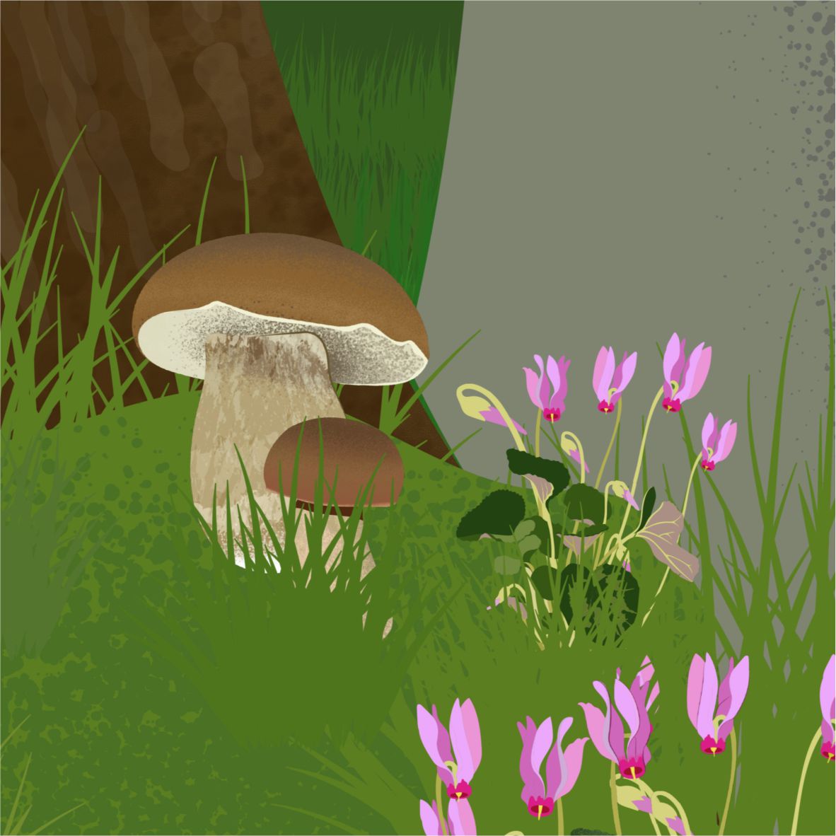 Az erdő gombái, növényei, állatai a falgrafikán - 1