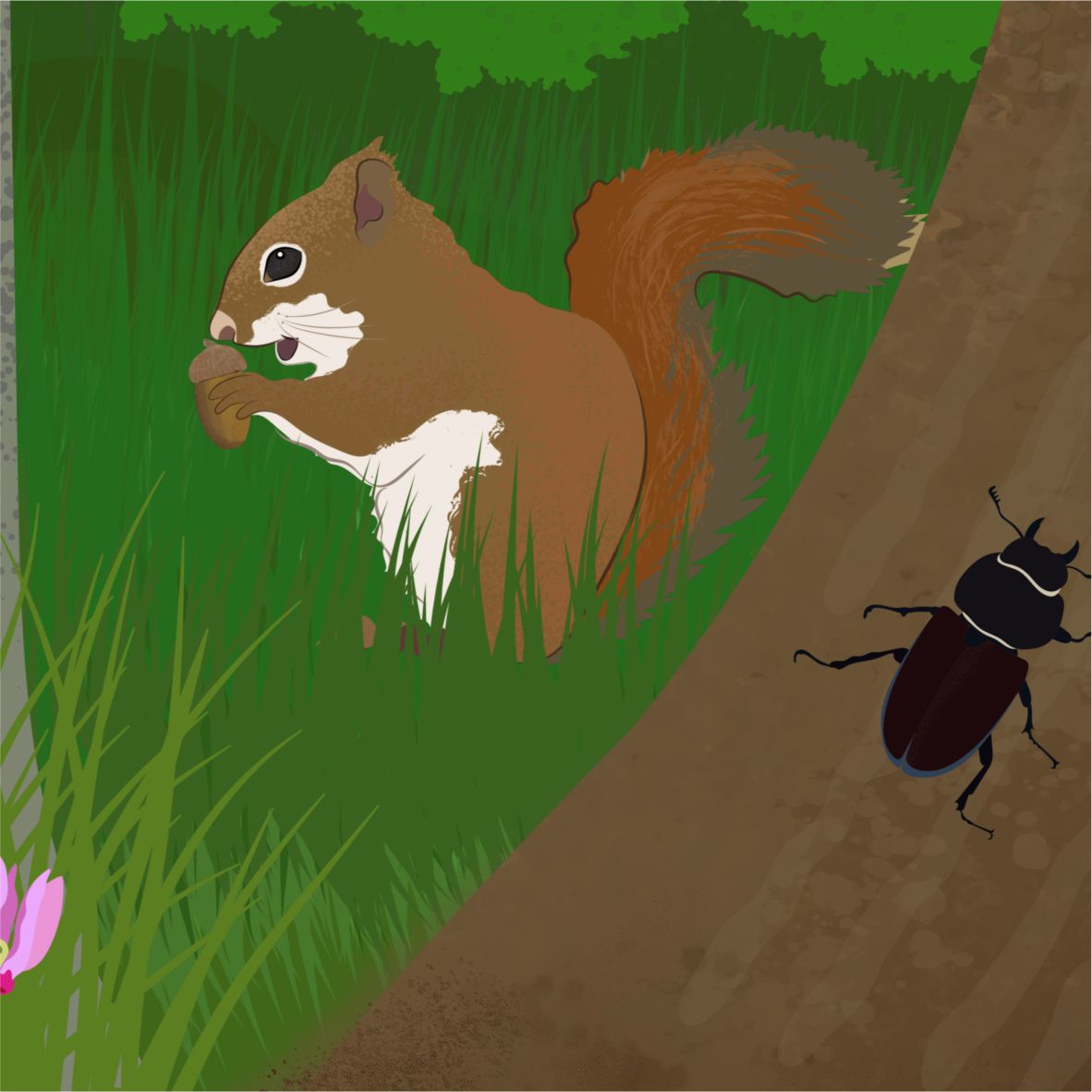 Az erdő gombái, növényei, állatai a falgrafikán - 2