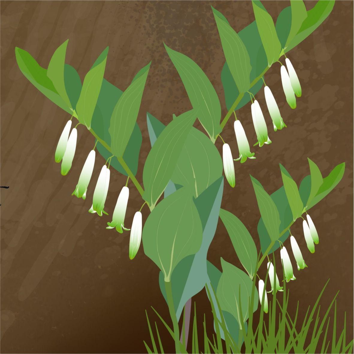 Az erdő gombái, növényei, állatai a falgrafikán - 3