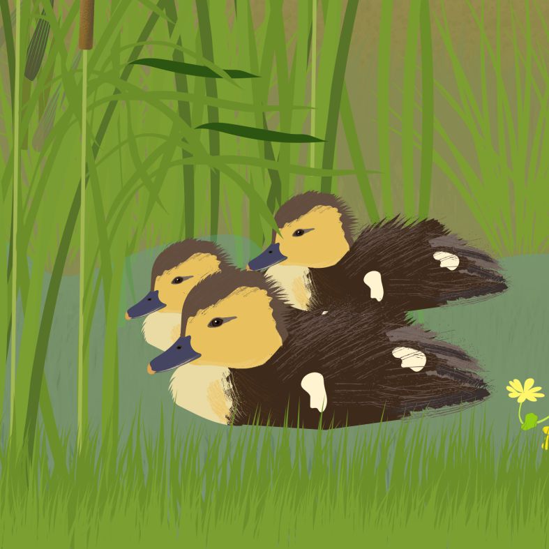 Többrétegű asztali puzzle játék