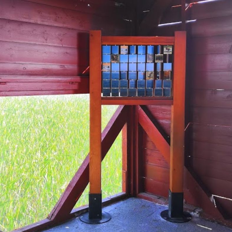 Forgatós kockajáték